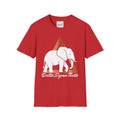 Delta Sigma Theta Inspired Sorority  1913 Elephant Shirt